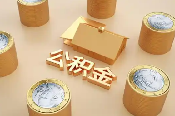 怒江退休公积金代办提取额度是多少？